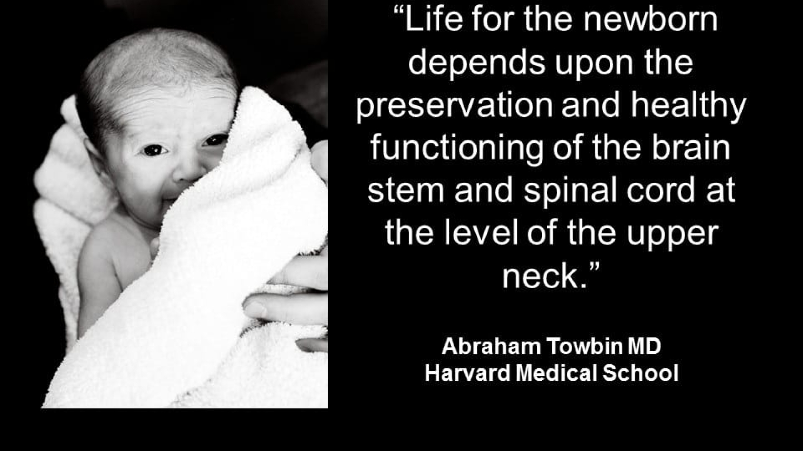 Chiropractic For Kids